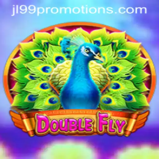 DoubleFly: A Thrilling Journey through Skies - Introduction and Gameplay